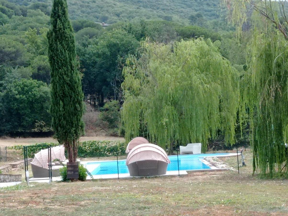 I Salici Agriturismo Badia Agnano Exterior foto